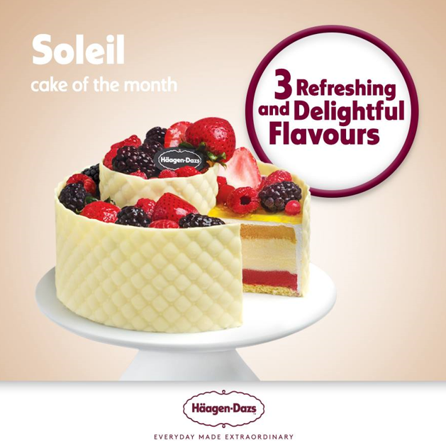 HAAGEN DAZ CAKES WITH MENU & PRICES